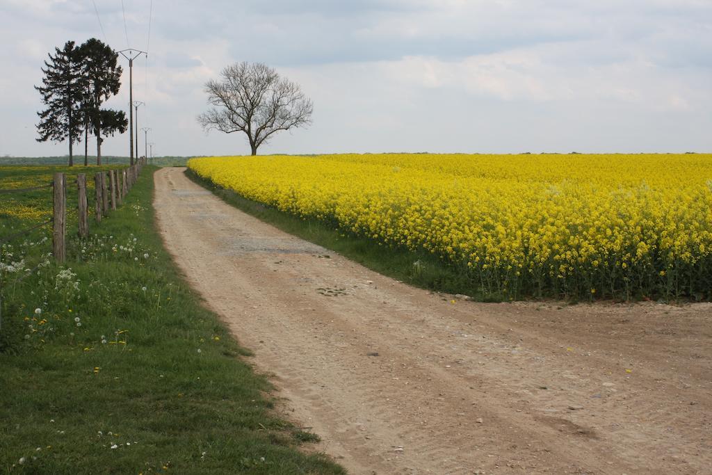 La Grange De Boulaines Bed & Breakfast Méru Екстериор снимка